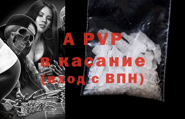 сатива Абаза